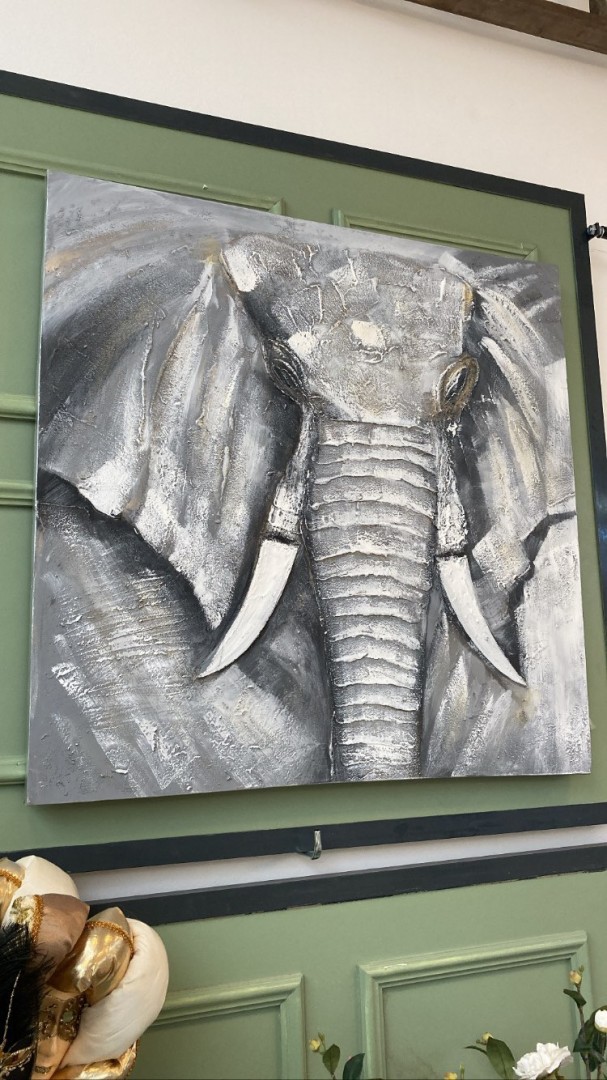 Obraz slon šedý