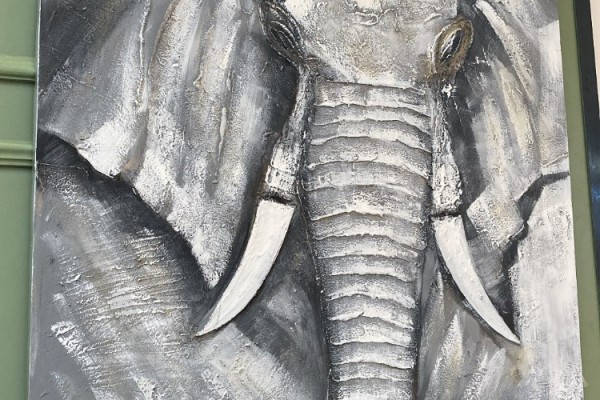 Obraz slon šedý